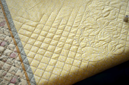 Yellow Whole Cloth 1