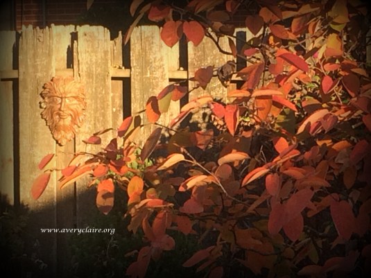 2016-Nov-Karen's Garden